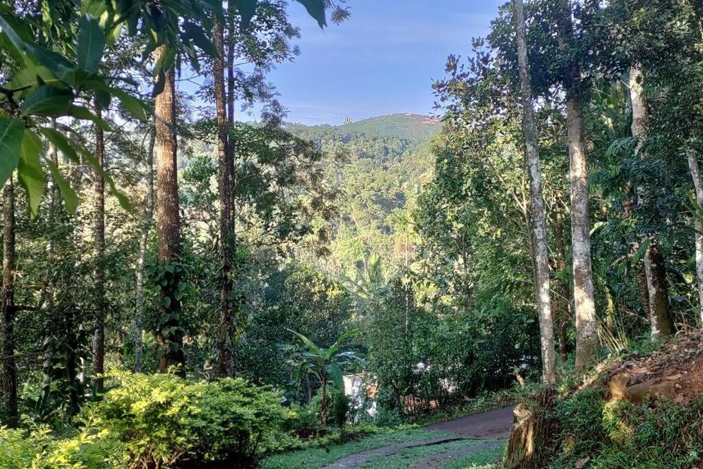 Coffee Camp Home Stay With Tree House Kattappana المظهر الخارجي الصورة