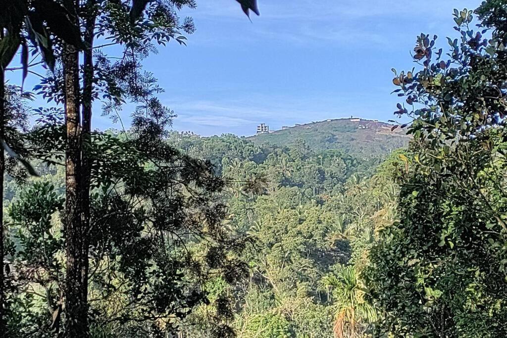 Coffee Camp Home Stay With Tree House Kattappana المظهر الخارجي الصورة