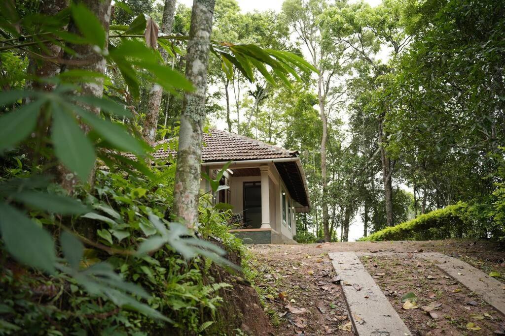 Coffee Camp Home Stay With Tree House Kattappana المظهر الخارجي الصورة