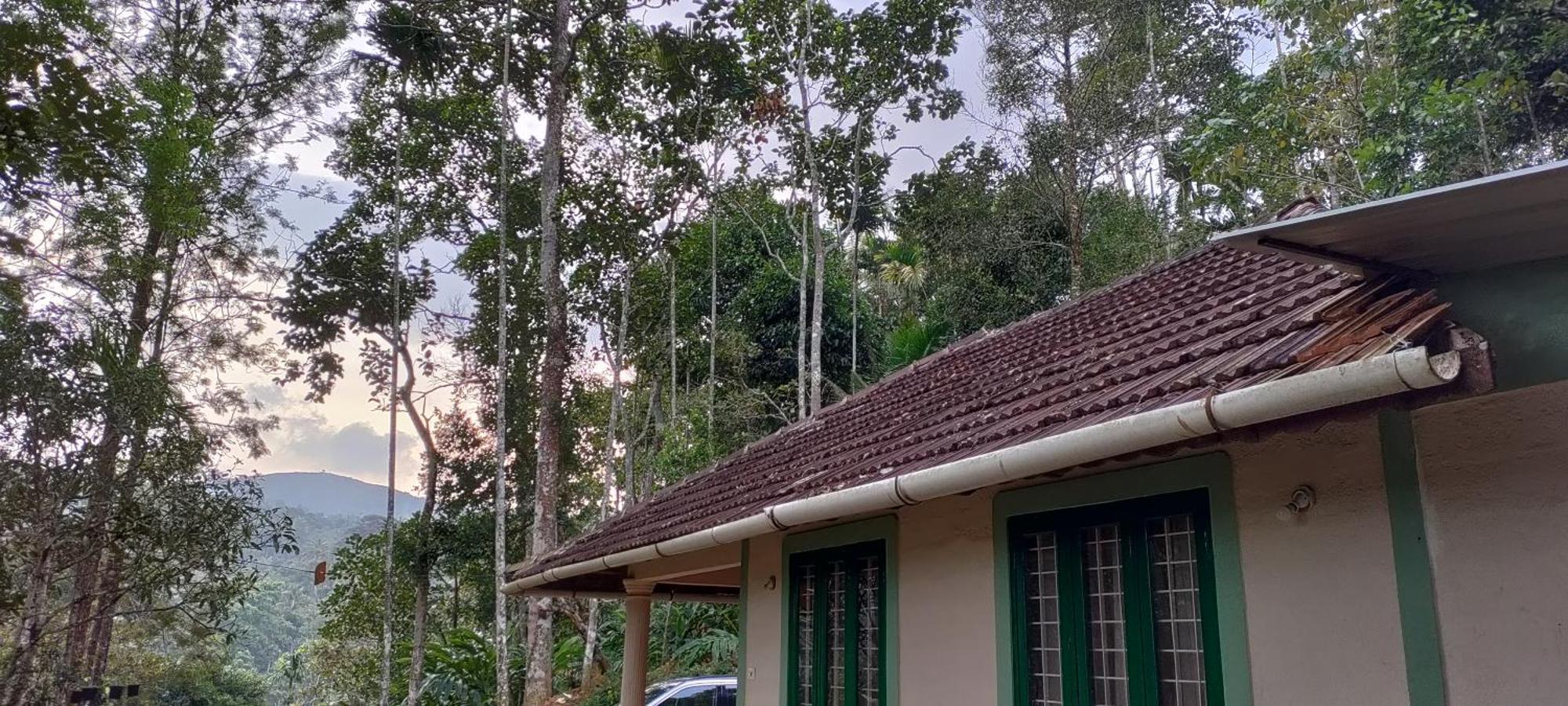 Coffee Camp Home Stay With Tree House Kattappana المظهر الخارجي الصورة