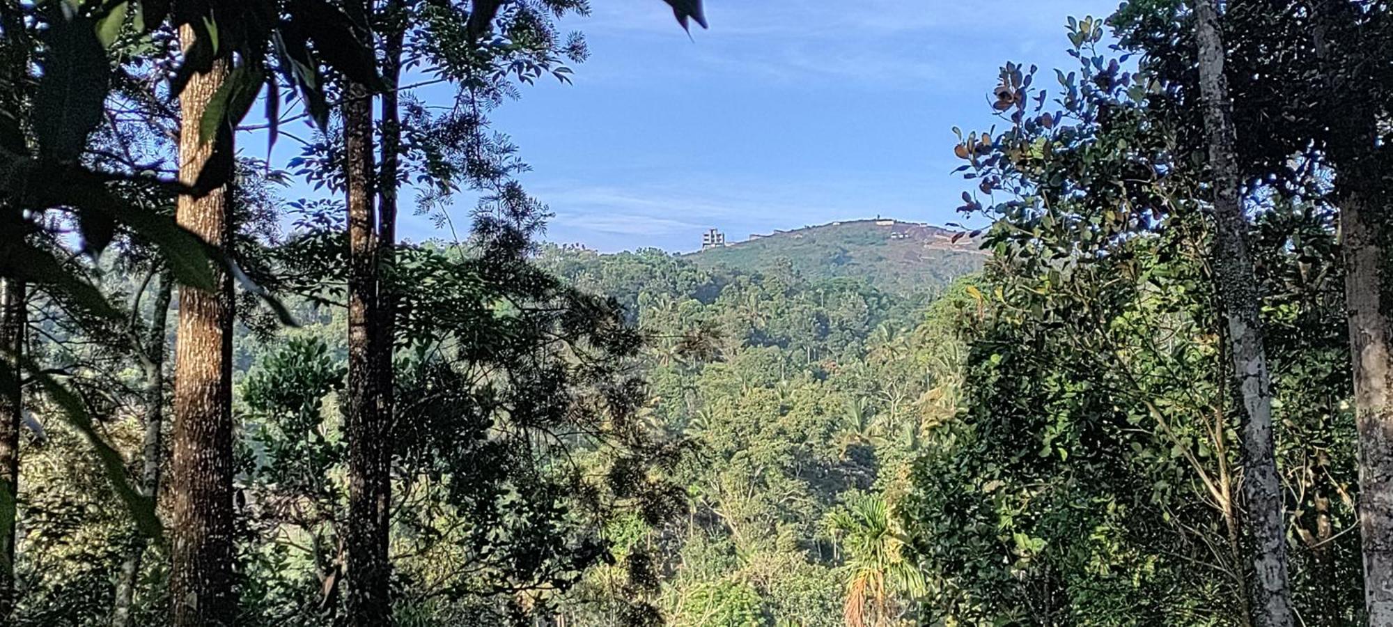 Coffee Camp Home Stay With Tree House Kattappana المظهر الخارجي الصورة