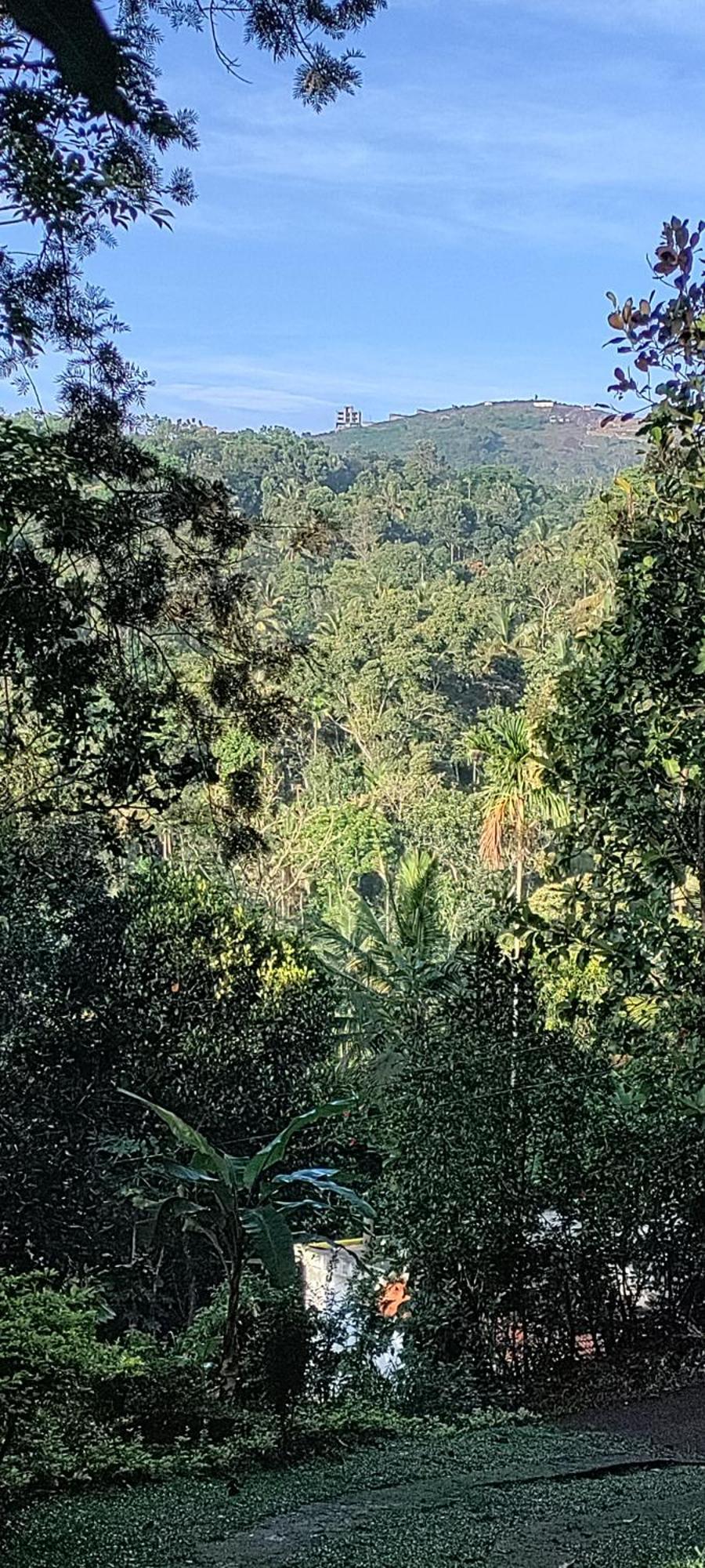 Coffee Camp Home Stay With Tree House Kattappana المظهر الخارجي الصورة