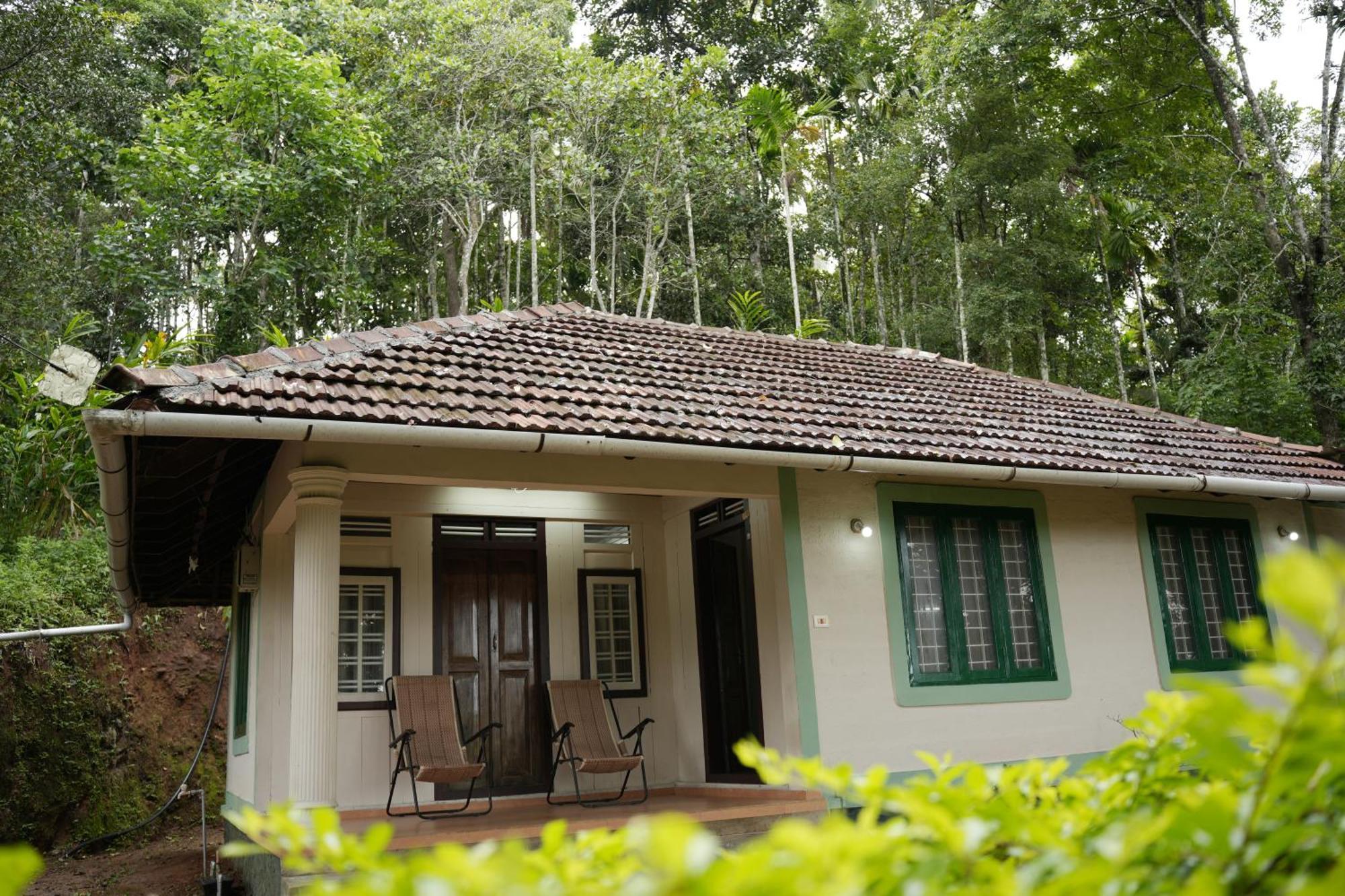Coffee Camp Home Stay With Tree House Kattappana المظهر الخارجي الصورة