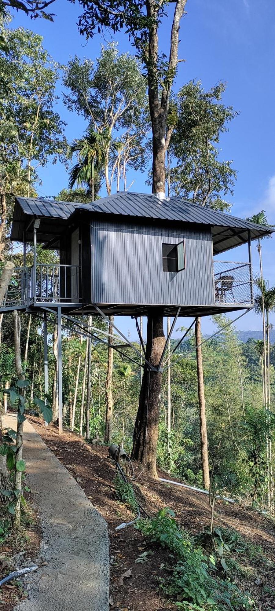 Coffee Camp Home Stay With Tree House Kattappana المظهر الخارجي الصورة