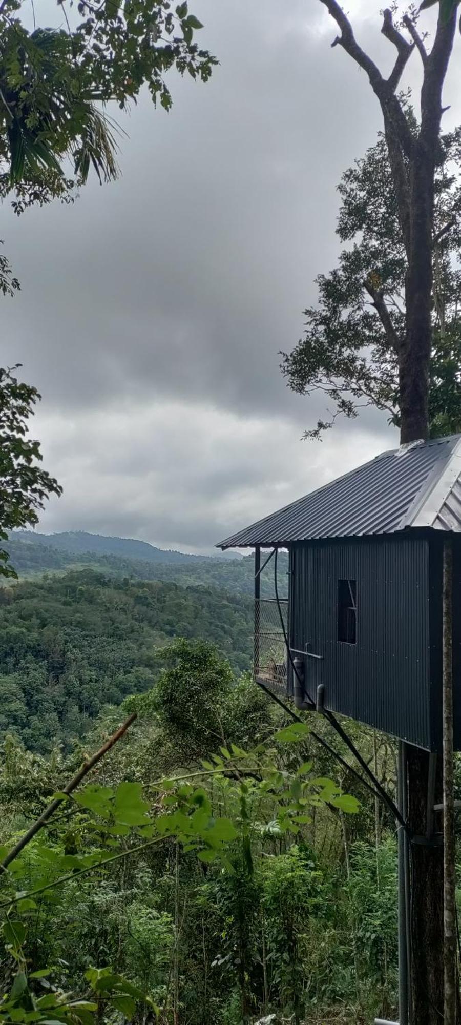 Coffee Camp Home Stay With Tree House Kattappana المظهر الخارجي الصورة